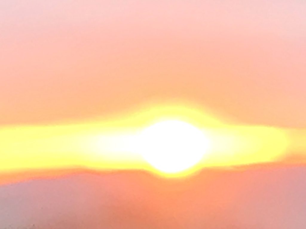 迎春！令和二年！